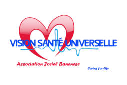 logo VISION SANTÉ UNIVERSELLE