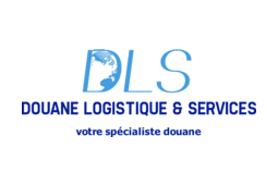 logo DLS
