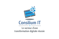 Consilium IT