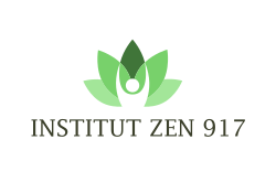 INSTITUT ZEN 917