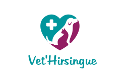 Vet'Hirsingue