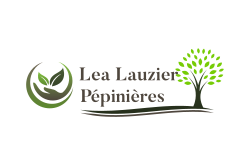 Lea Lauzier