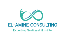  EL-AMINE CONSULTING  
