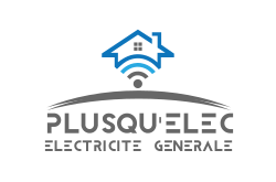 PLUSQU'ELEC