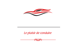 STYLE AUTO 19