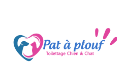 Pat à plouf 