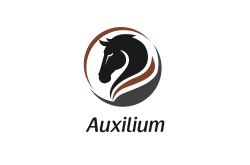 Auxilium