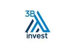 3B