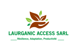 LAURGANIC ACCESS SARL