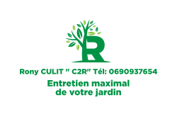 Rony CULIT 
