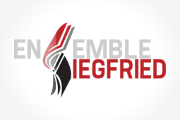 logo  iegfried