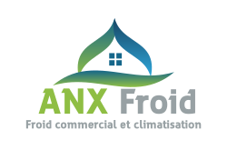 logo ANX