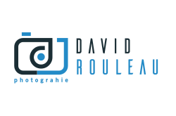 logo David