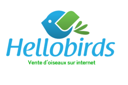 logo Hellobirds