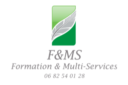 logo F&MS