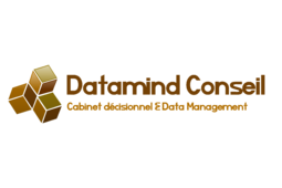 logo Datamind Conseil