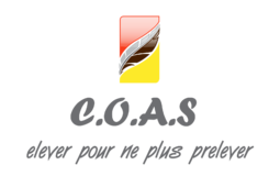 logo C.O.A.S