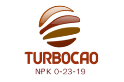 logo TURBOCAO