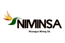 logo NIMINSA
