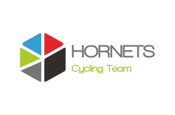 logo HORNETS