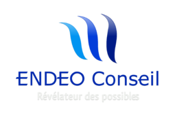 logo ENDEO Conseil