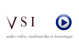 logo V S I