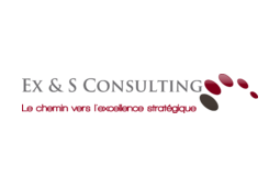 logo Ex & S Consulting