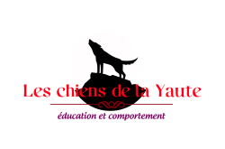 Les chiens de la Yaute