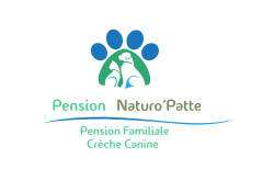 Pension