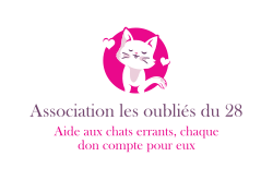 Association les oubliés du 28