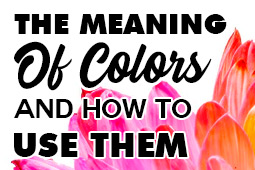 La signification des couleurs et leur utilisation dans la conception d’une identité de marque