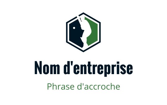 Criquet logo
